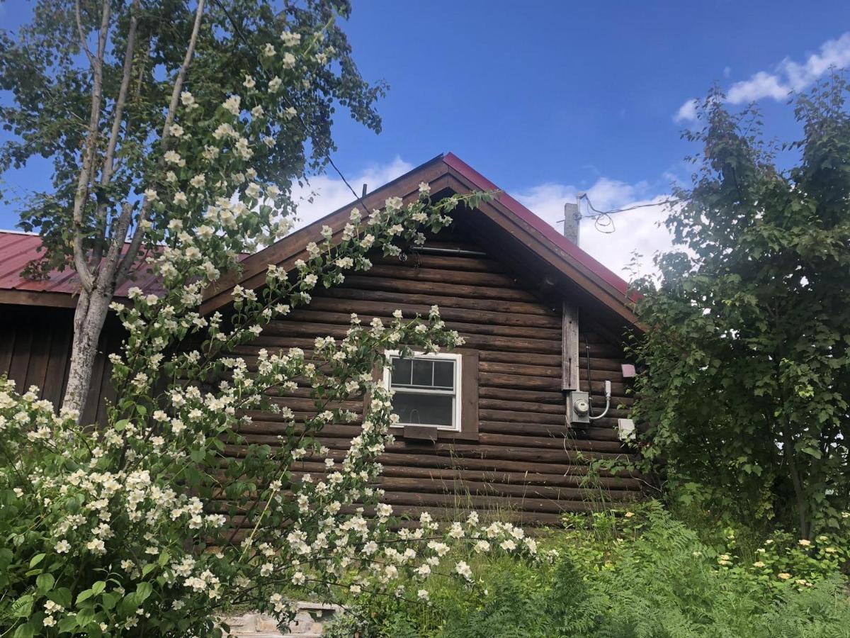 Morning Star Log Cabin&Bunkieland Nelson Exterior foto